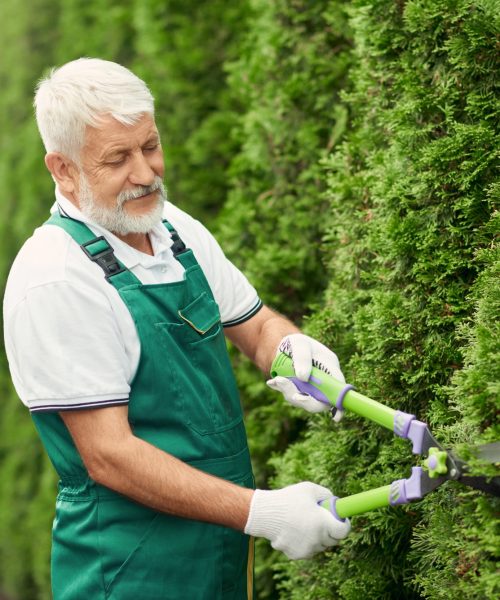 senior-gardener-using-scissors-for-bushes.jpg